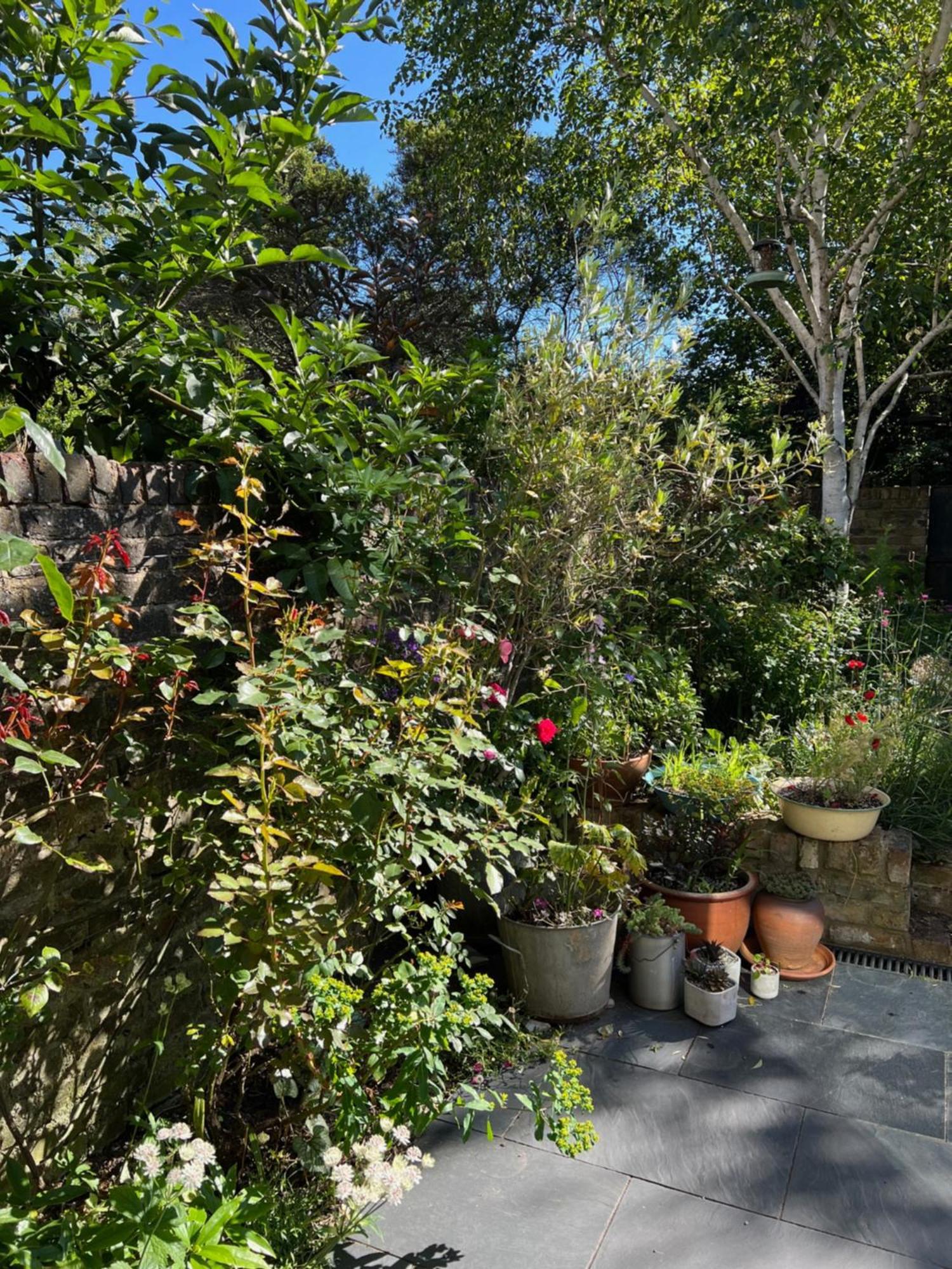 Bright And Elegant 2 Bedroom Flat, Near Notting Hill Лондон Экстерьер фото